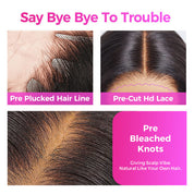 Pre-Braided Front Afro Curly 10x6 Parting Max Glueless Wigs Fulani Braids Curly Human Hair Wear Go Wigs
