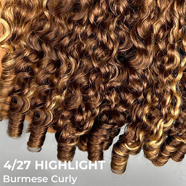 Seegethair Ombre Highlight Burmese Curly Hair Wear Go Glueless Wigs 10X6 Pre Cut Lace Wigs With Drawstring