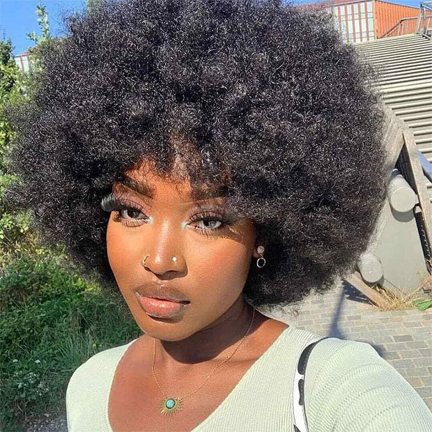 Seegethair 70s Bouncy Curly Wigs Afro Curly Wig With Bangs Short Bobcut Fluffy Human Hair Wigs Natural Blend